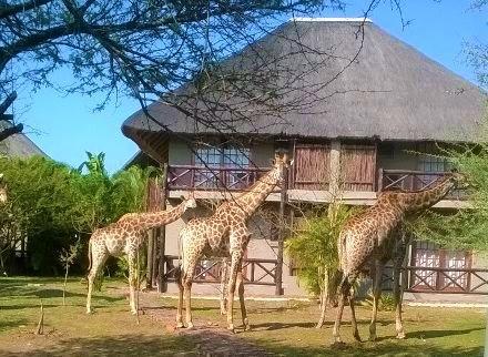 Rhulani Kruger Villa Marloth Park Exterior foto